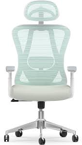 Silla Ergonómica Naspaluro con Soporte Lumbar y Ajustes Completos