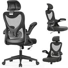 Silla de Oficina Ergonómica con Soporte Lumbar y Reposabrazos