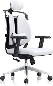 Silla de Oficina Ergonómica