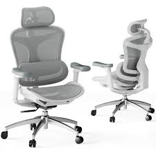 Silla Ergonómica SIHOO Doro C300 con Reposabrazos