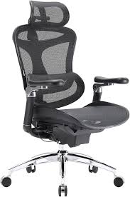Silla Ergonómica SIHOO Doro C300 con Reposabrazos