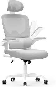 Silla Ergonómica Naspaluro con Soporte Lumbar