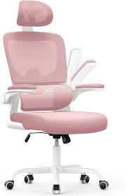 Silla Ergonómica Naspaluro con Soporte Lumbar
