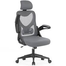 Silla Ergonómica Xmifer con Soporte Lumbar